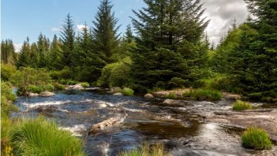 discover-britain’s-hidden-camping-gems-this-summer
